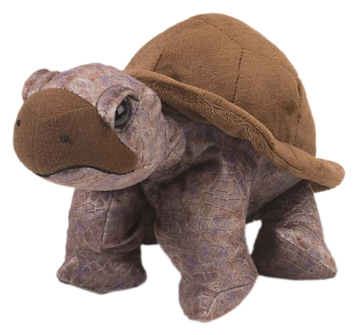 Cuddlekins Tortoise