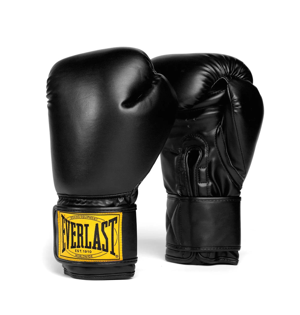 Everlast 1910 Mitt Kit - 12oz