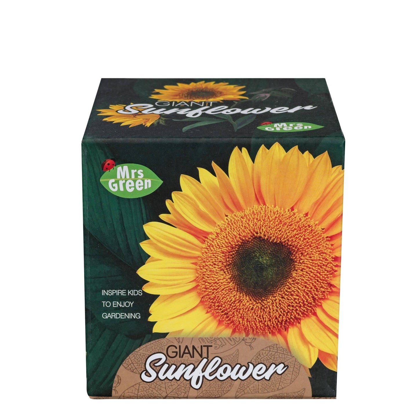 Giant Sunflower | Grow your own Sunflower