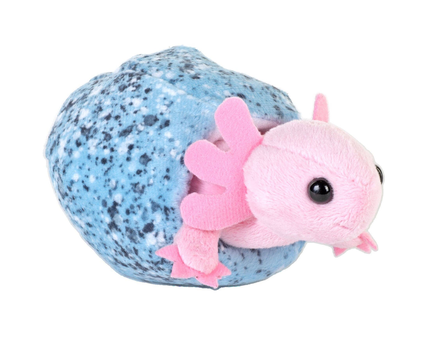 Hatchling Axolotl