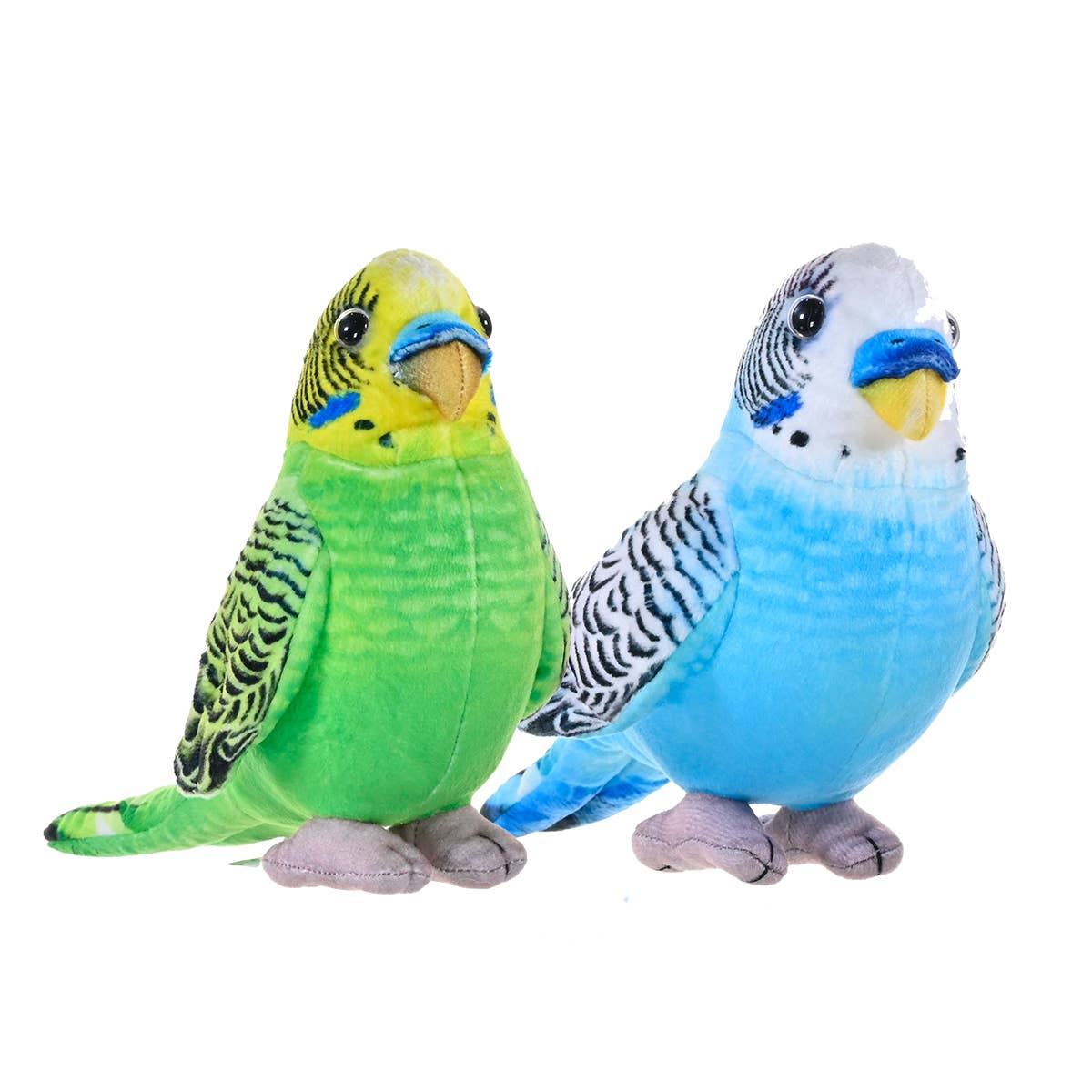 Living Mini Budgie Assorted*