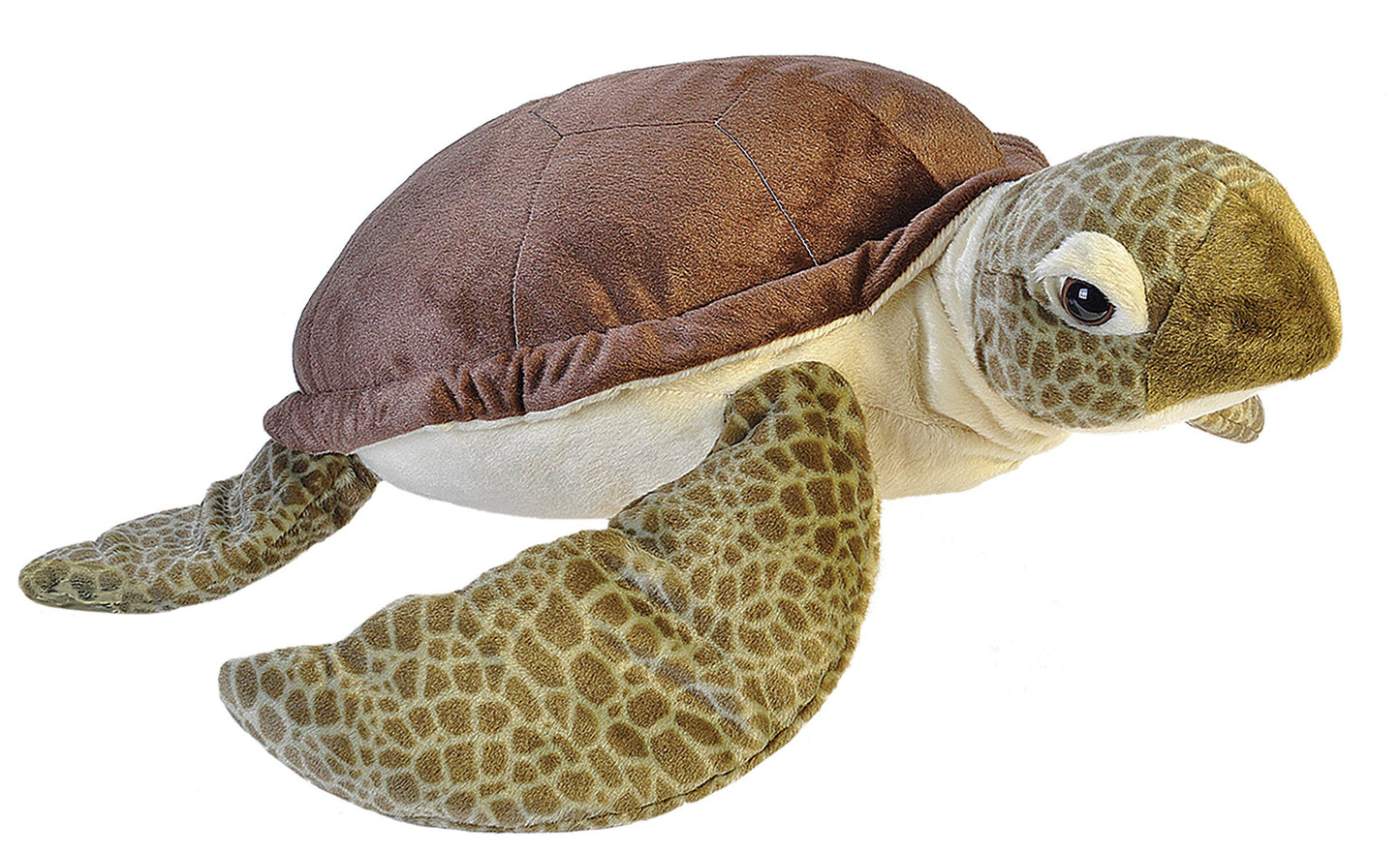 CK-Jumbo Green Sea Turtle