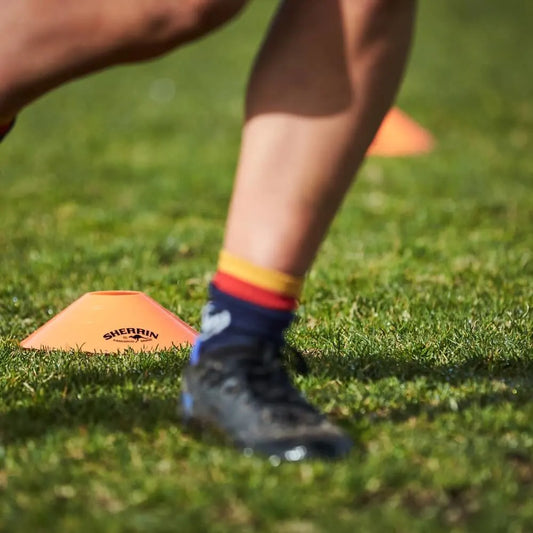 Sherrin Training Discs