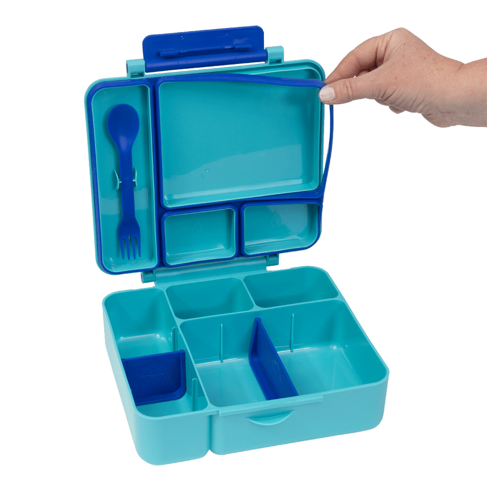 All-in Lunch Box - Fuchsia - Lagoon