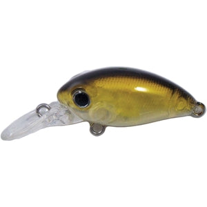 Kody Shallow 32 DEEP 133 Clear Ayu