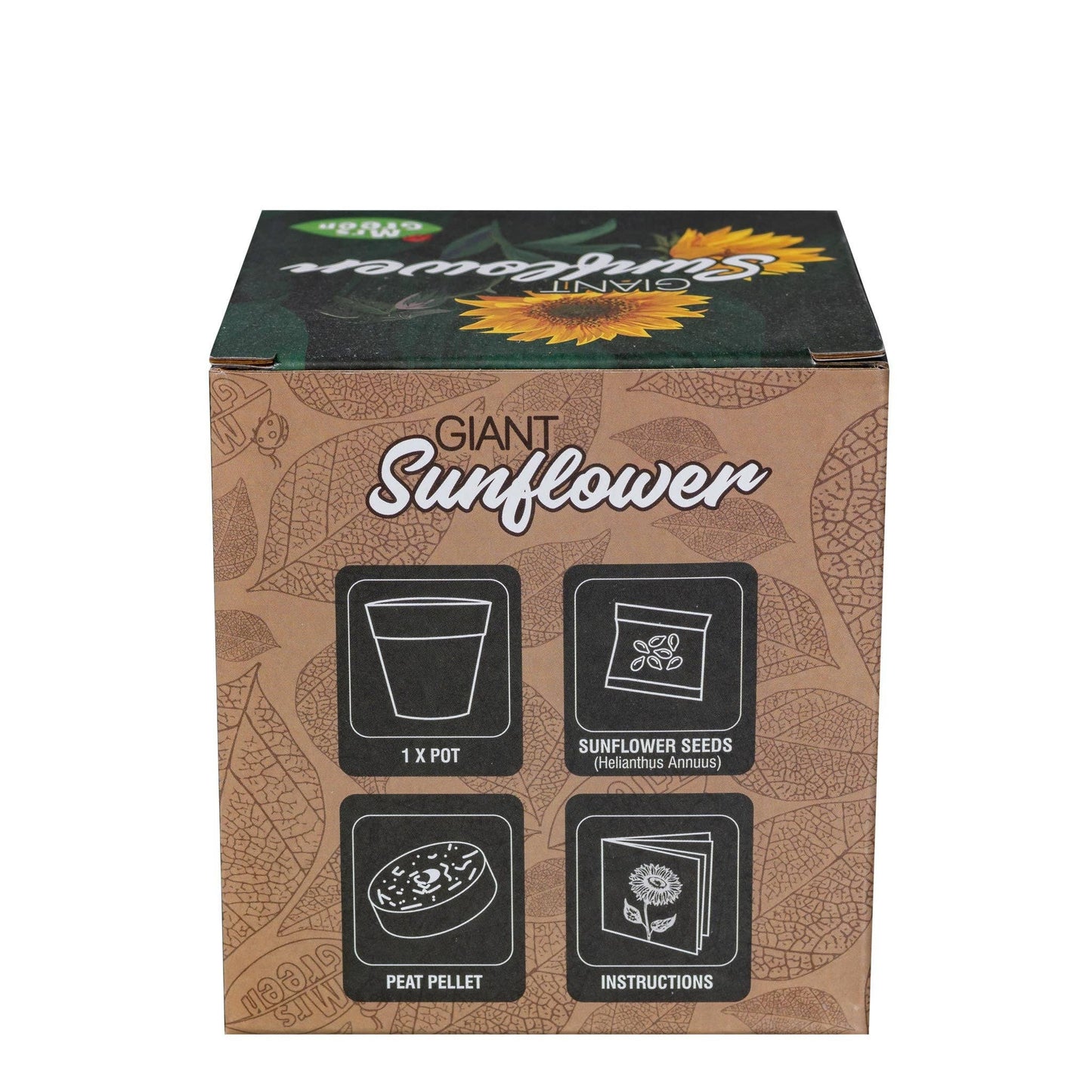 Giant Sunflower | Grow your own Sunflower