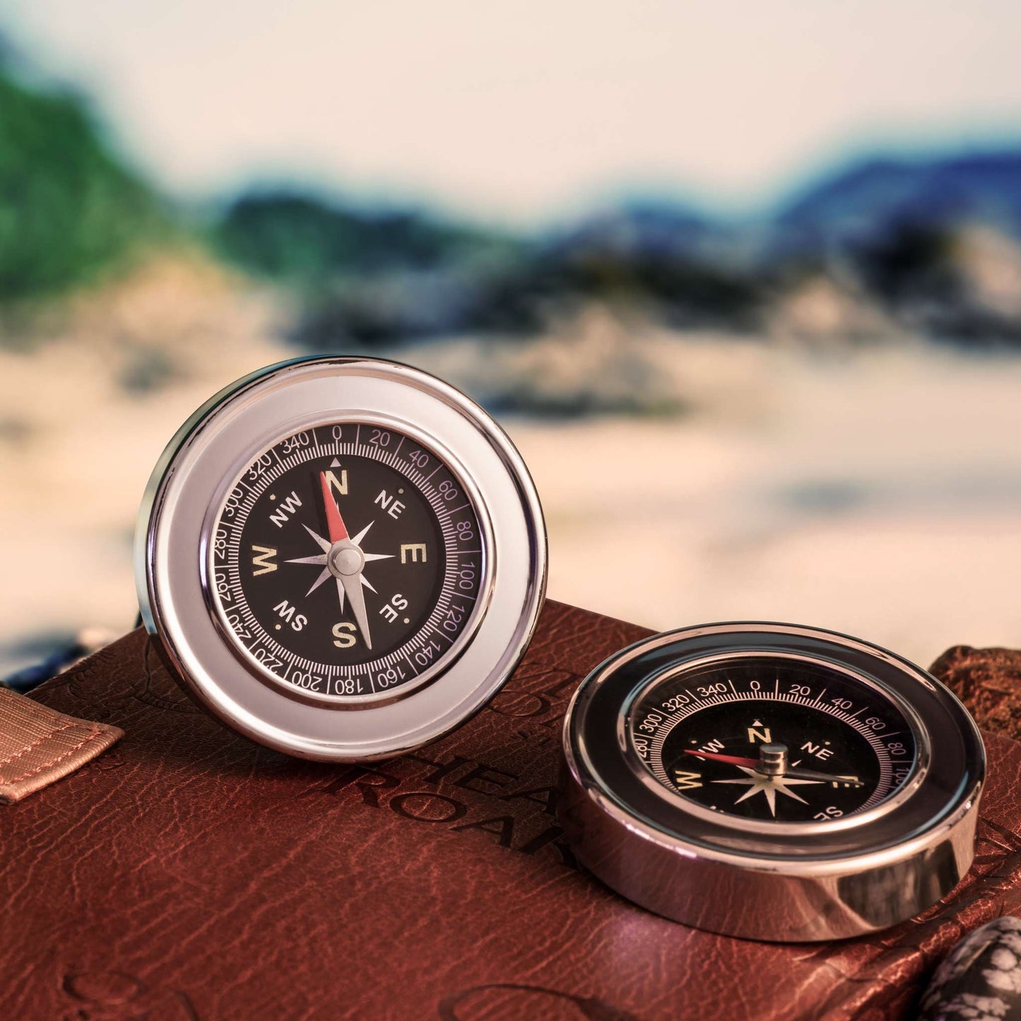 Stainless Steel Compass