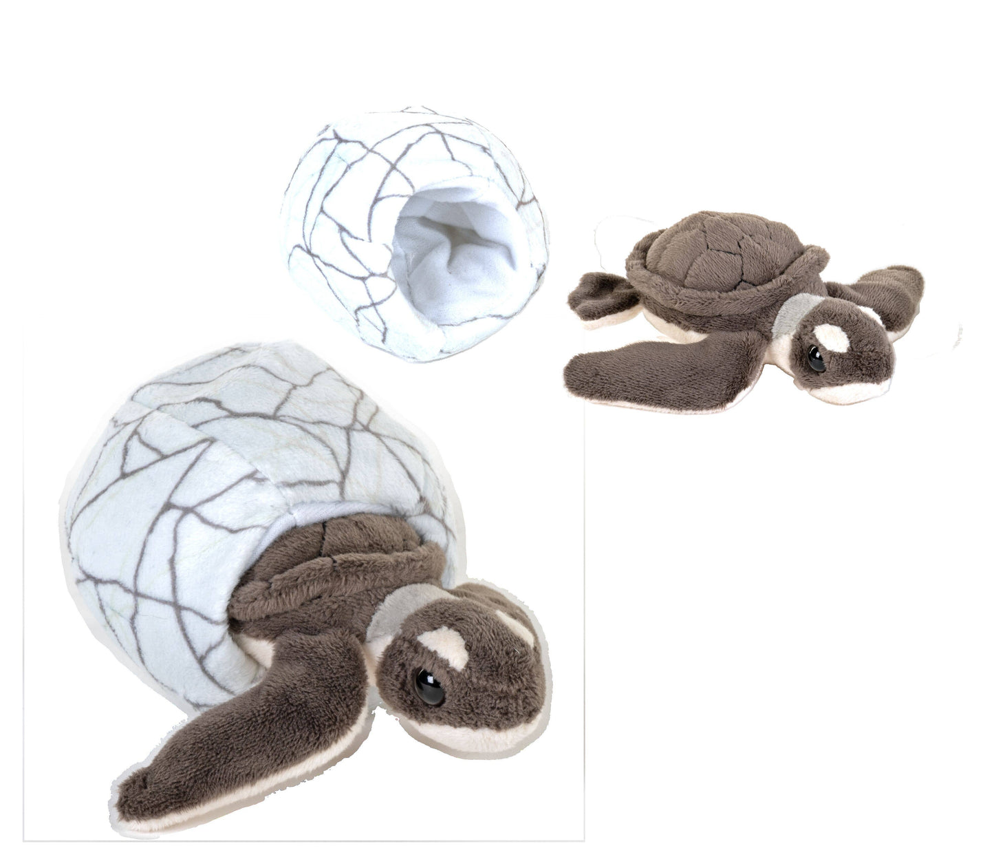 Wild Republic Hatchling Green Sea Turtle