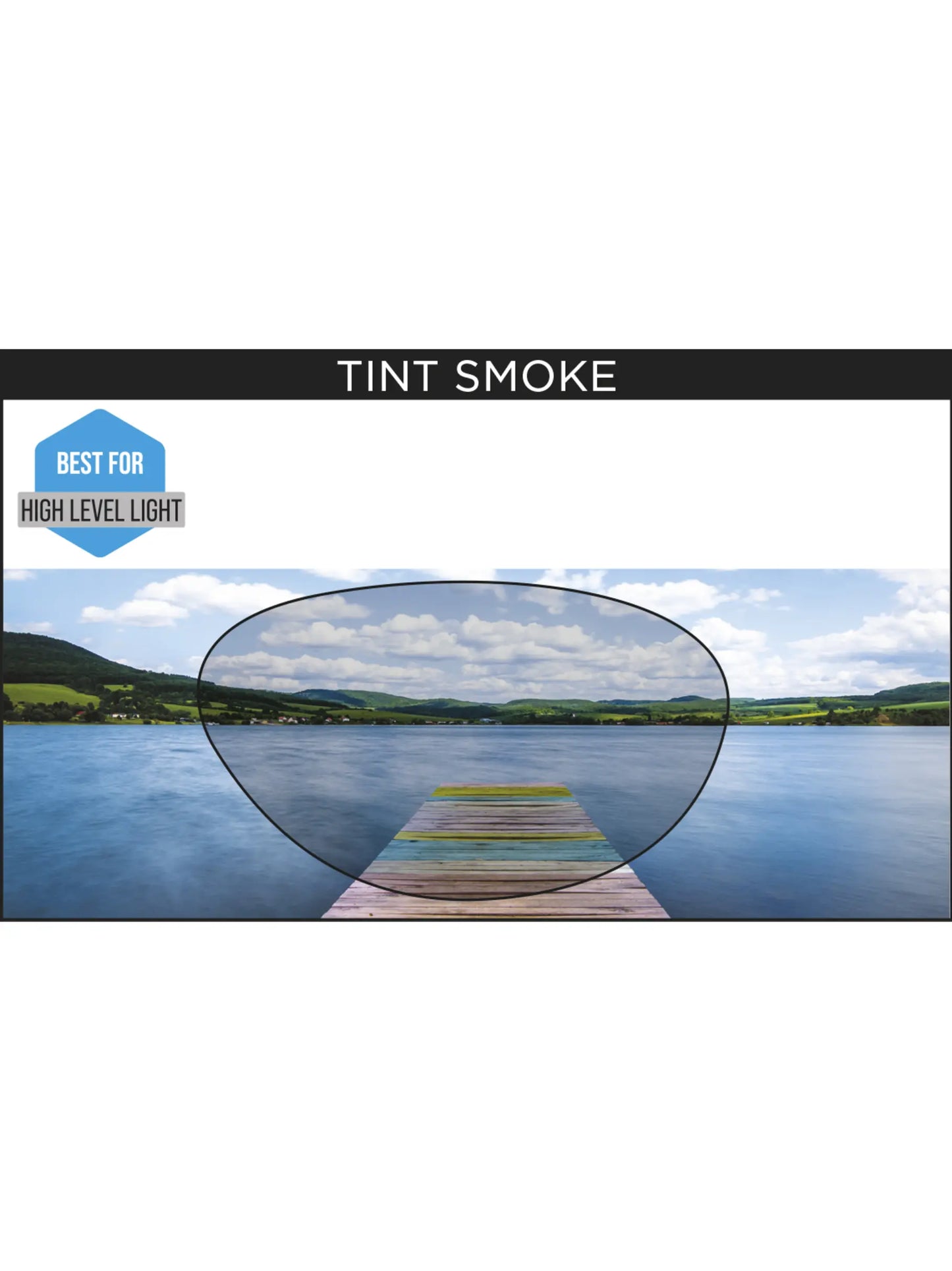 Zoggs Predator Goggles -