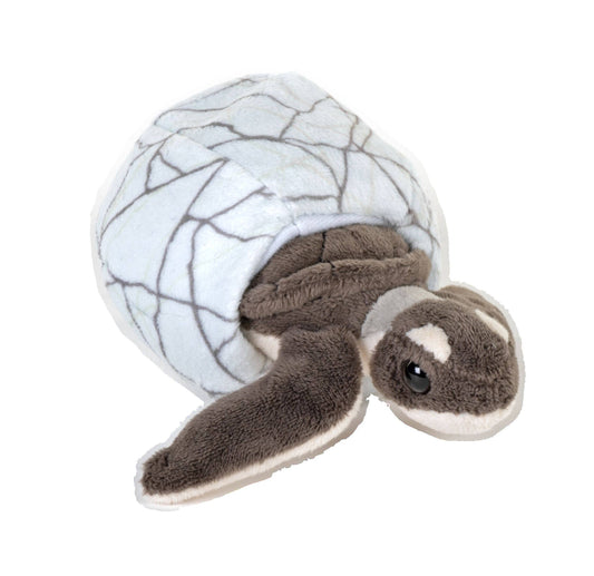 Wild Republic Hatchling Green Sea Turtle