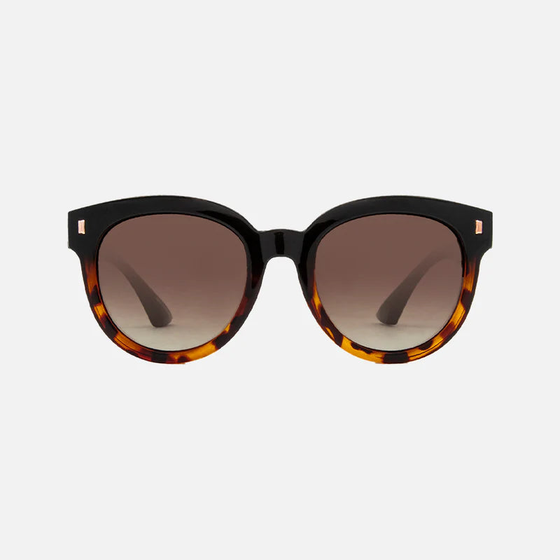 Harpo - Gloss Black Tort Brown Gradient - Polarized
