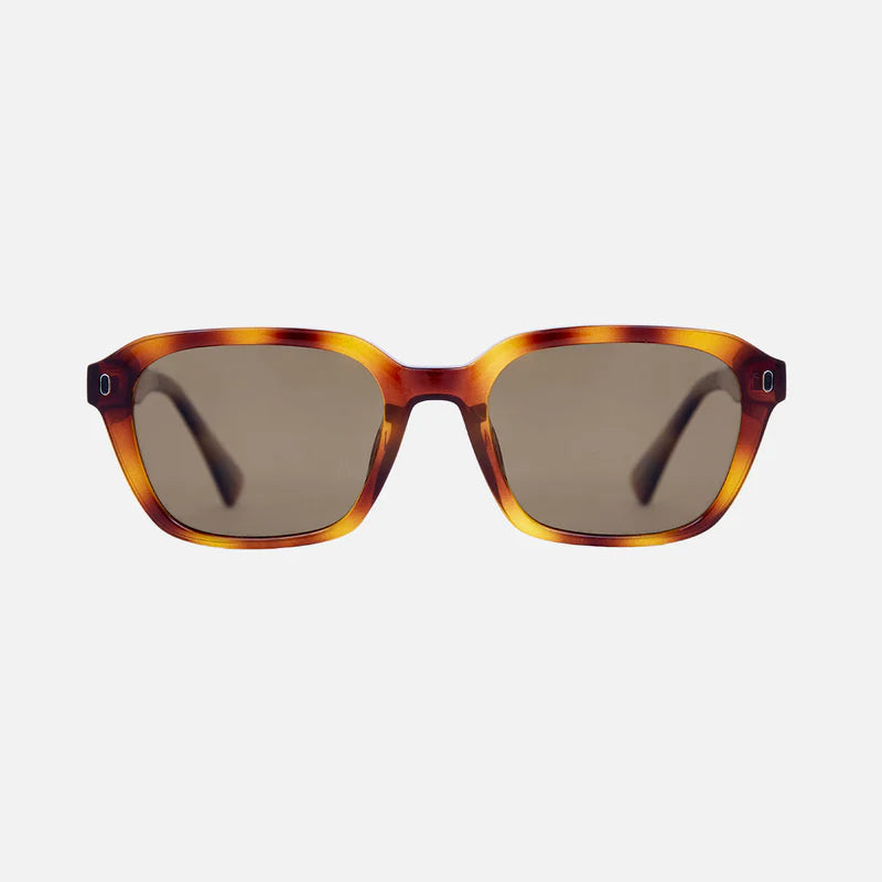 Del Ray - Tort Brown Frame Gradient Polarized Lens