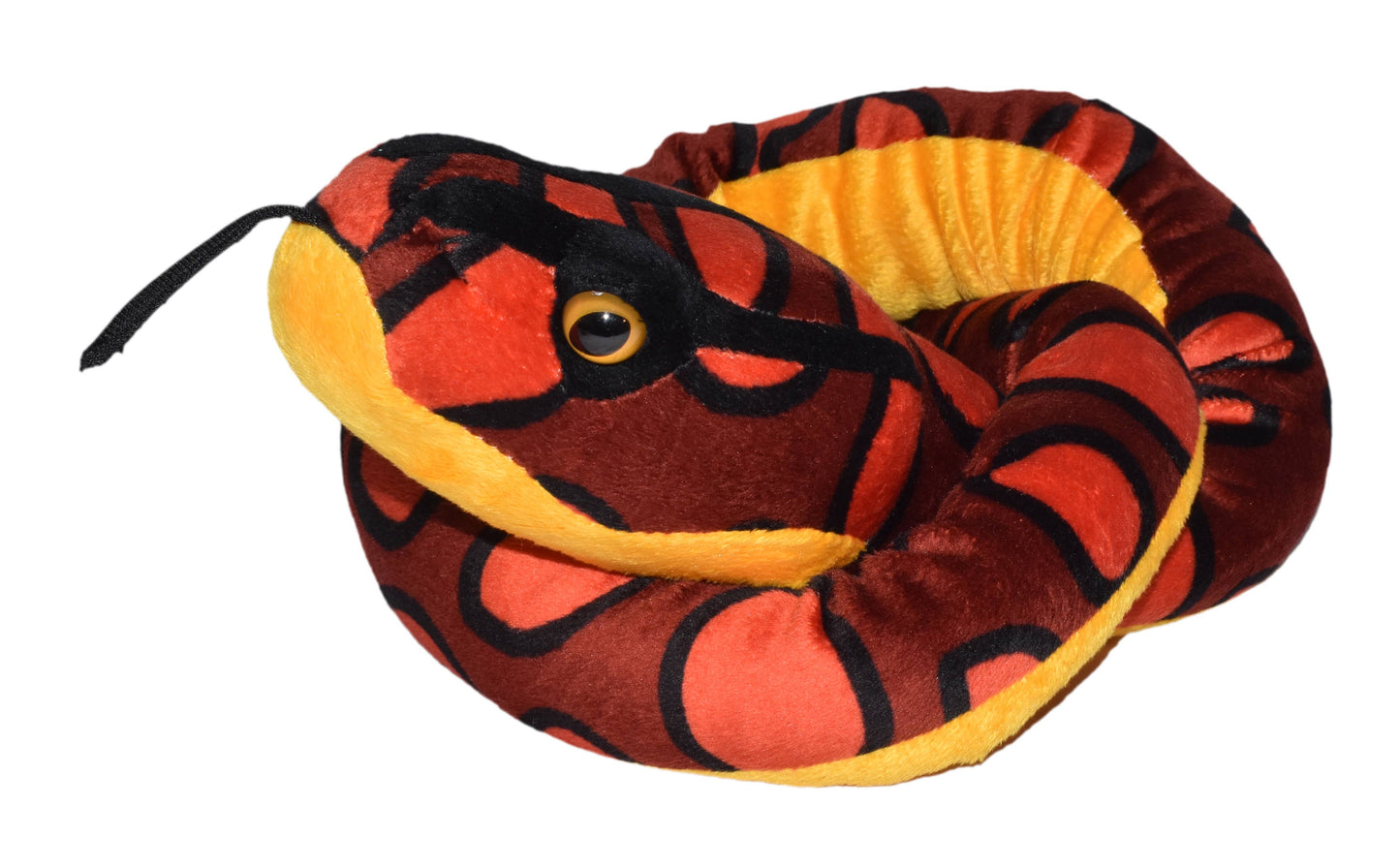 Snake Rainbow Boa