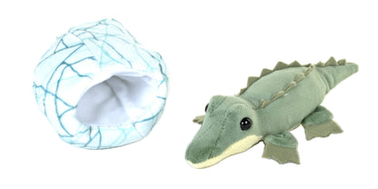 Hatchling Crocodile