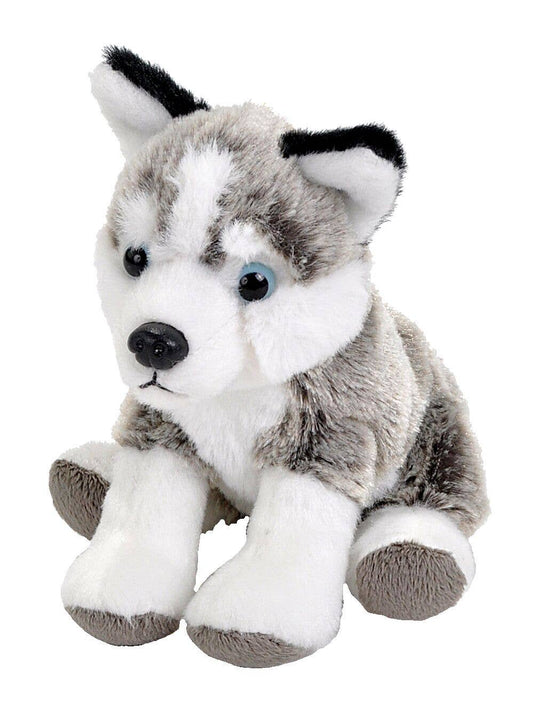 Pocketkins Eco Dog Husky