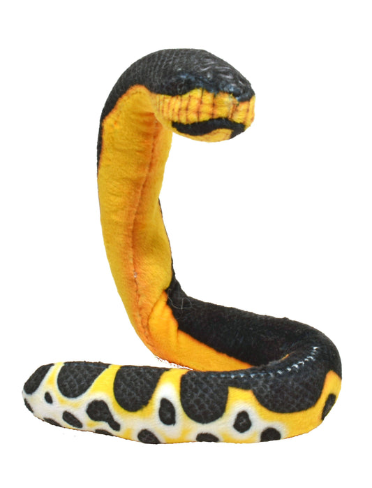 Coilkins Yellow Bellied Sea Snake