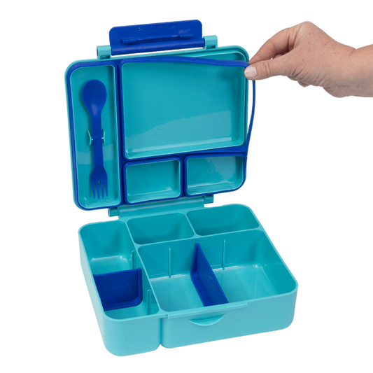 All-in Lunch Box - Fuchsia - Lagoon