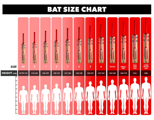 Play Cricket Bat