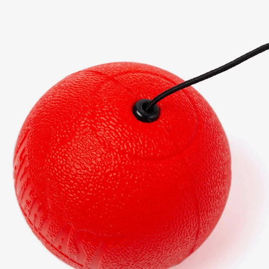 Everlast Powerlock Reflex Ball