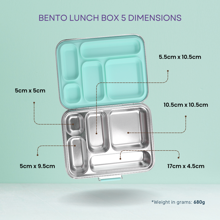 Stainless Steel Bento Lunch Box 5 - Blueberry