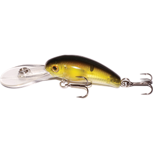 JAZ Cozzie 43 C308 Clear Avocado