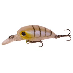 Kody Shallow 32 DEEP 128 Olive Clear Shrimp