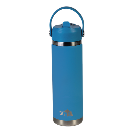 Big Insulated Water Bottle 650ml - Pacific