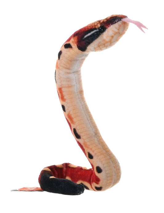 Coilkins Blood Python