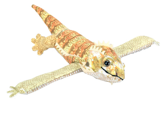 Huggers Bearded Dragon