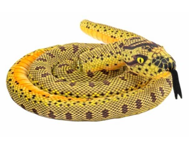 Snake Living Anaconda