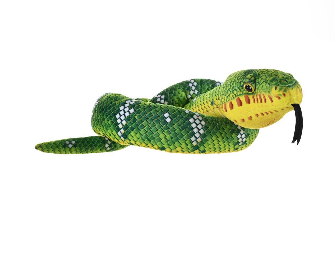 Snake Emerald Tree Boa