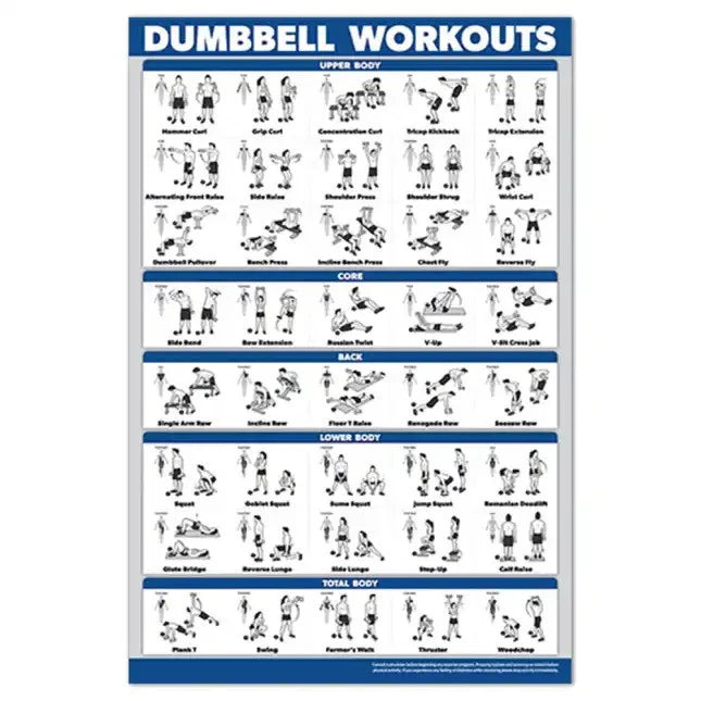 Dumbbell Workout Poster