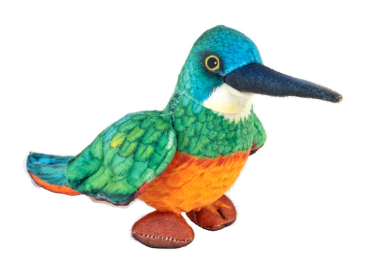 Rainforest Jacamar