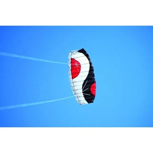 Sky Wizard Sport Kite